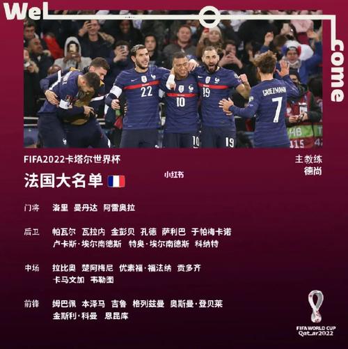 法国队欧洲杯第几（法国队欧洲杯大名单公布）