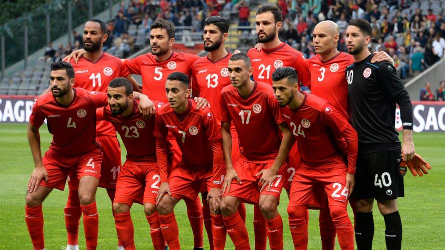 2016年突尼斯欧洲杯（2016年欧洲杯参赛队）