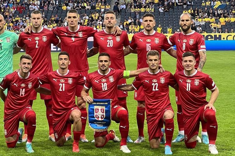 维特塞尔欧洲杯进球（欧洲杯塞尔维亚阵容）