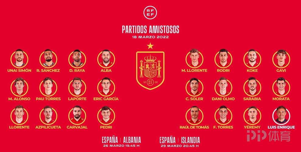 西班牙本届欧洲杯球员阵容（西班牙欧洲杯队员名单）