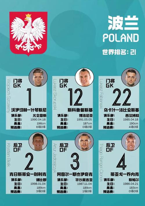 欧洲杯波兰阵容名单表（欧洲杯波兰阵容名单表格）