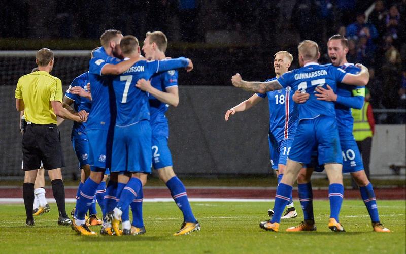 2016年欧洲杯冰岛人员（2016欧洲杯冰岛小组）